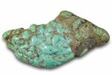 Polished Turquoise Specimen - Number Mine, Carlin, NV #260496-1